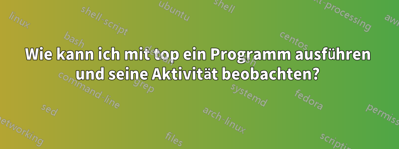 Wie kann ich mit top ein Programm ausführen und seine Aktivität beobachten?