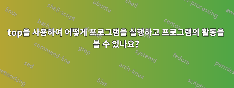 top을 사용하여 어떻게 프로그램을 실행하고 프로그램의 활동을 볼 수 있나요?