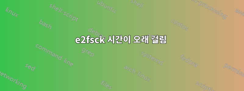 e2fsck 시간이 오래 걸림
