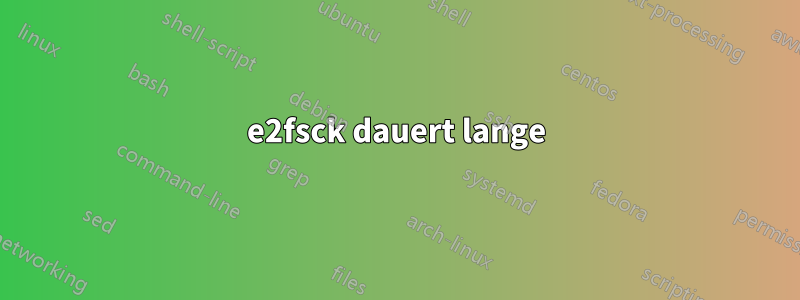 e2fsck dauert lange