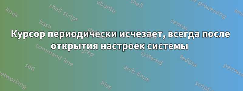 Курсор периодически исчезает, всегда после открытия настроек системы 