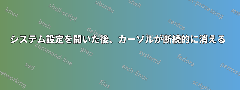 システム設定を開いた後、カーソルが断続的に消える 