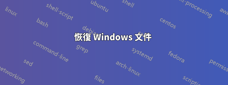 恢復 Windows 文件