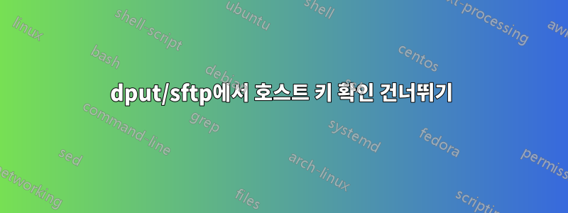 dput/sftp에서 호스트 키 확인 건너뛰기