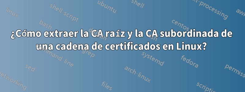 ¿Cómo extraer la CA raíz y la CA subordinada de una cadena de certificados en Linux?