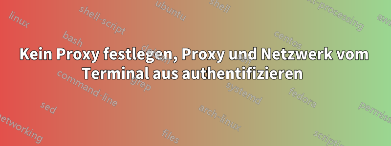 Kein Proxy festlegen, Proxy und Netzwerk vom Terminal aus authentifizieren 