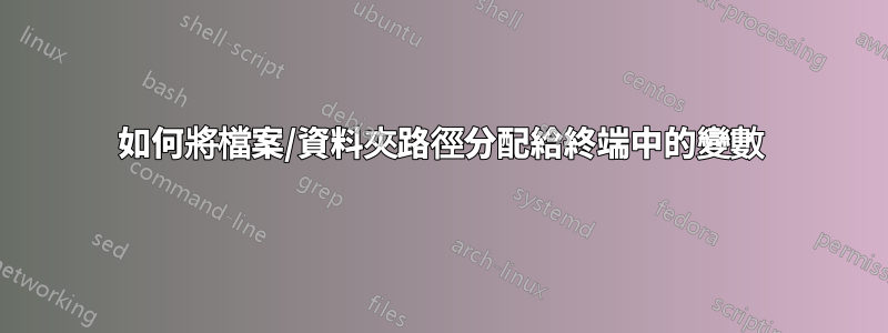 如何將檔案/資料夾路徑分配給終端中的變數