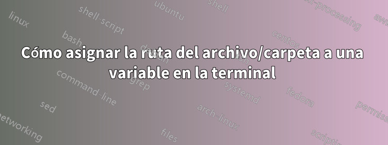 Cómo asignar la ruta del archivo/carpeta a una variable en la terminal