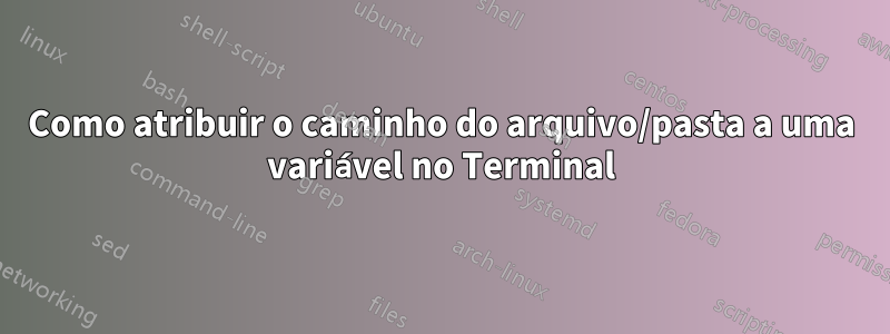Como atribuir o caminho do arquivo/pasta a uma variável no Terminal