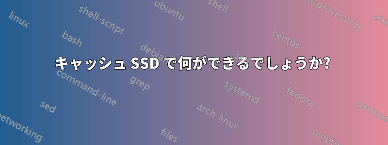 キャッシュ SSD で何ができるでしょうか?