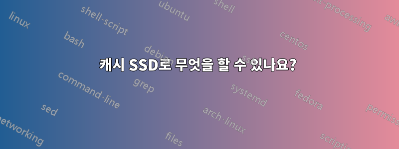 캐시 SSD로 무엇을 할 수 있나요?