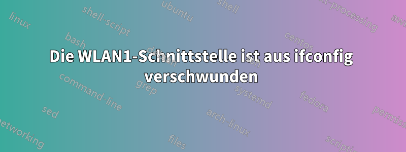 Die WLAN1-Schnittstelle ist aus ifconfig verschwunden