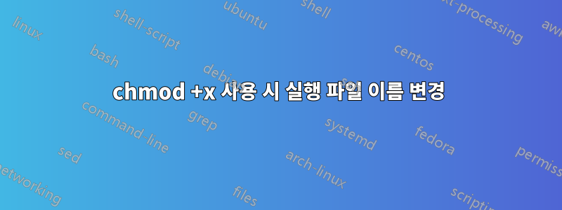 chmod +x 사용 시 실행 파일 이름 변경