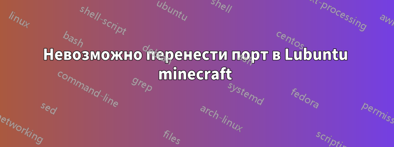 Невозможно перенести порт в Lubuntu minecraft