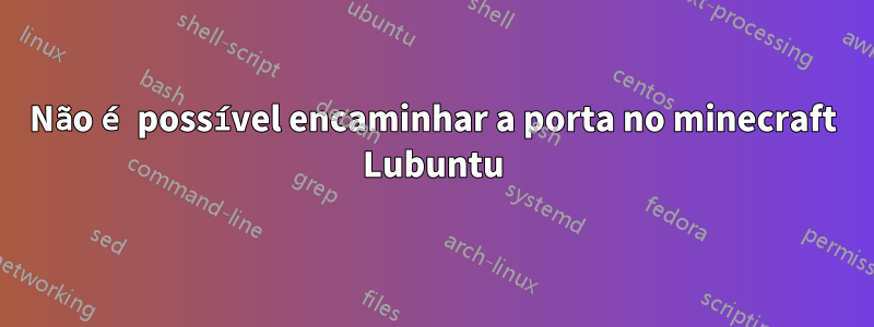 Não é possível encaminhar a porta no minecraft Lubuntu