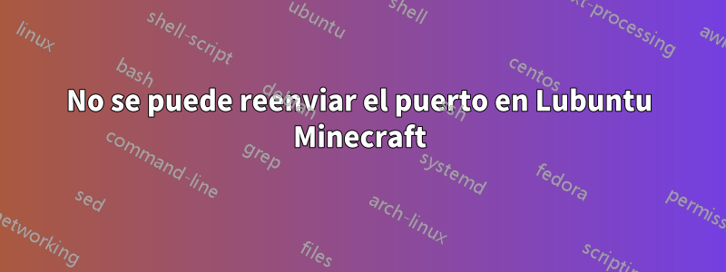 No se puede reenviar el puerto en Lubuntu Minecraft