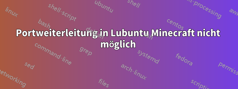 Portweiterleitung in Lubuntu Minecraft nicht möglich