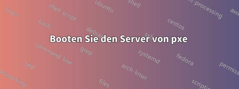 Booten Sie den Server von pxe