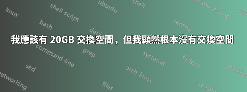 我應該有 20GB 交換空間，但我顯然根本沒有交換空間