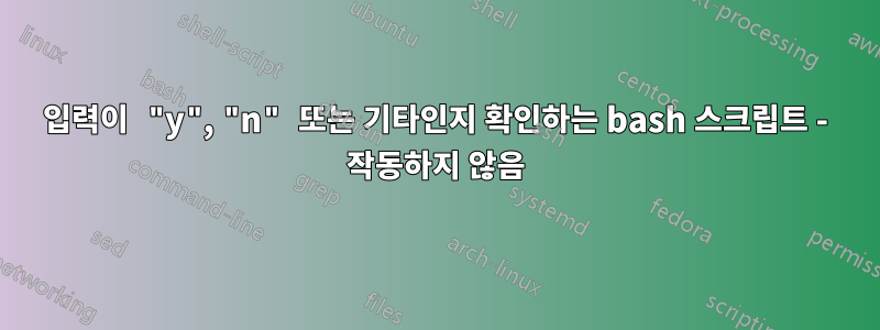 입력이 "y", "n" 또는 기타인지 확인하는 bash 스크립트 - 작동하지 않음