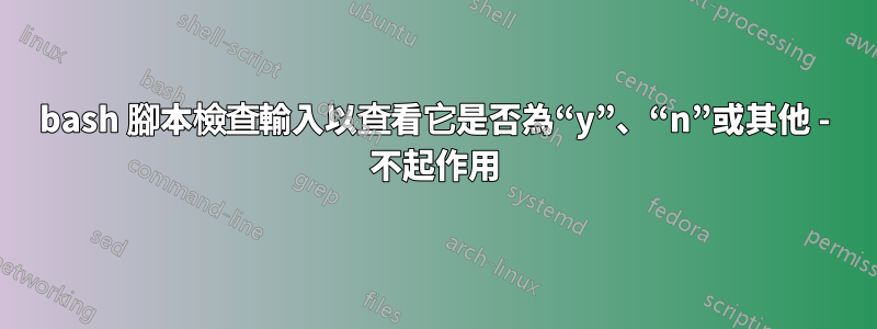 bash 腳本檢查輸入以查看它是否為“y”、“n”或其他 - 不起作用