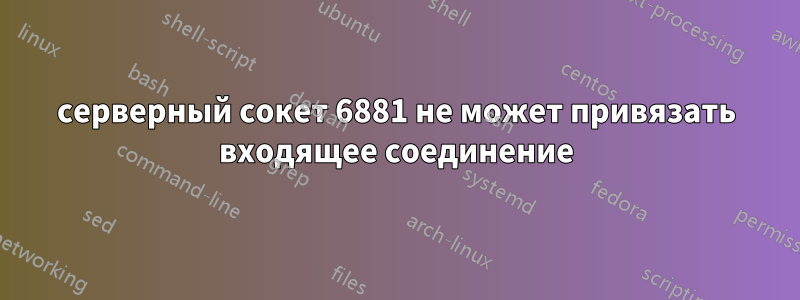 серверный сокет 6881 не может привязать входящее соединение