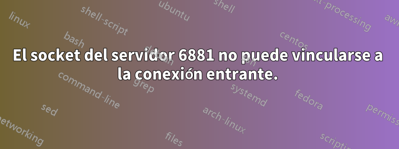 El socket del servidor 6881 no puede vincularse a la conexión entrante.