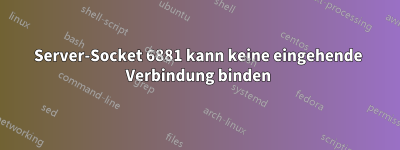 Server-Socket 6881 kann keine eingehende Verbindung binden