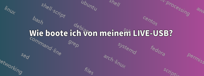 Wie boote ich von meinem LIVE-USB?