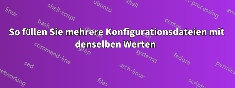 So füllen Sie mehrere Konfigurationsdateien mit denselben Werten 