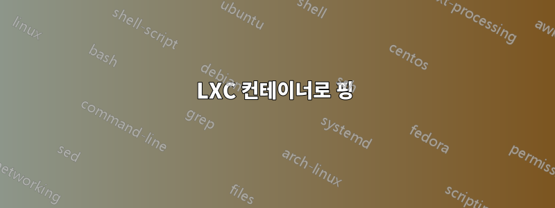 LXC 컨테이너로 핑