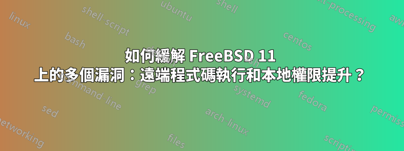 如何緩解 FreeBSD 11 上的多個漏洞：遠端程式碼執行和本地權限提升？