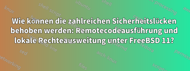 Wie können die zahlreichen Sicherheitslücken behoben werden: Remotecodeausführung und lokale Rechteausweitung unter FreeBSD 11?