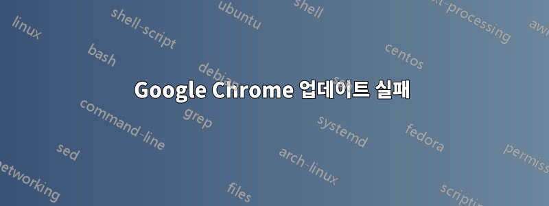 Google Chrome 업데이트 실패