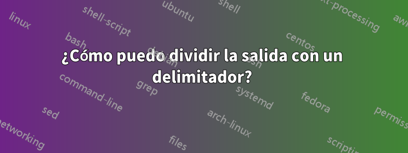 ¿Cómo puedo dividir la salida con un delimitador?