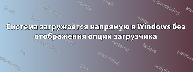 Система загружается напрямую в Windows без отображения опции загрузчика