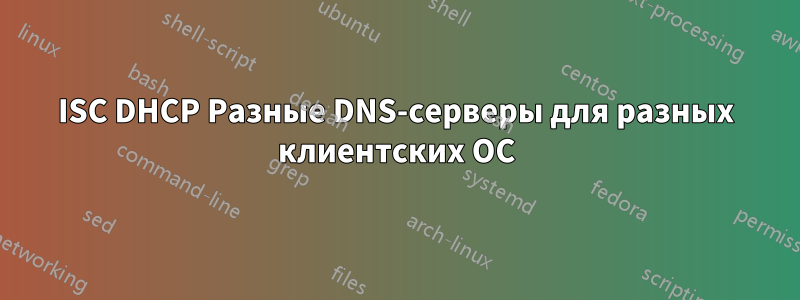 ISC DHCP Разные DNS-серверы для разных клиентских ОС