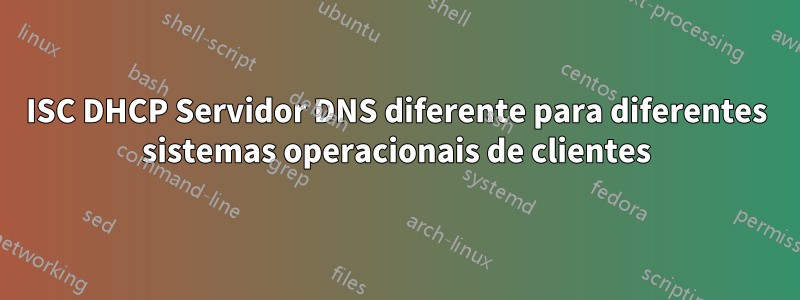 ISC DHCP Servidor DNS diferente para diferentes sistemas operacionais de clientes