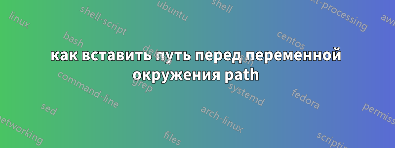 как вставить путь перед переменной окружения path