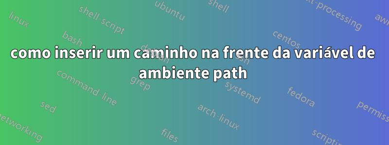 como inserir um caminho na frente da variável de ambiente path