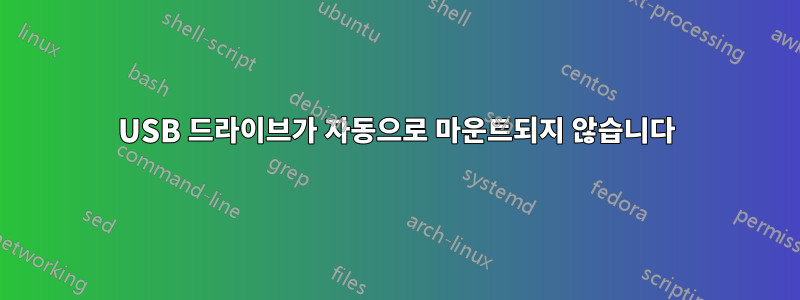 USB 드라이브가 자동으로 마운트되지 않습니다