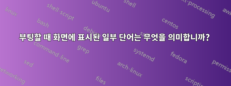 부팅할 때 화면에 표시된 일부 단어는 무엇을 의미합니까?