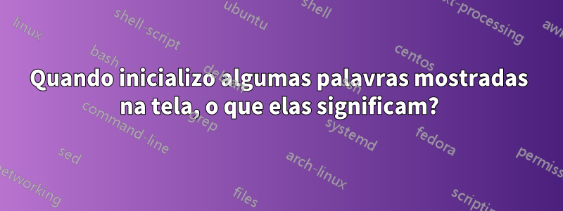 Quando inicializo algumas palavras mostradas na tela, o que elas significam?