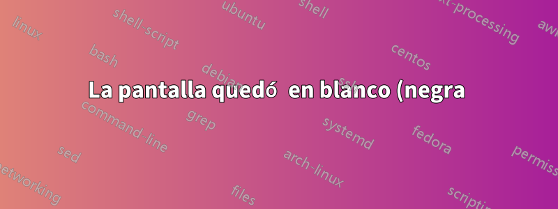 La pantalla quedó en blanco (negra)
