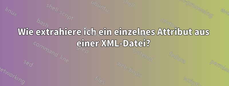 Wie extrahiere ich ein einzelnes Attribut aus einer XML-Datei?