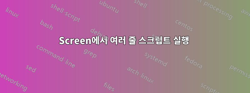 Screen에서 여러 줄 스크립트 실행