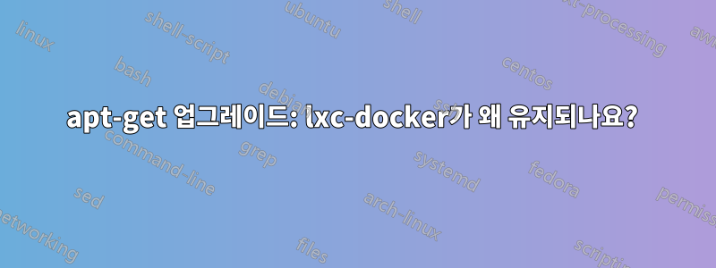 apt-get 업그레이드: lxc-docker가 왜 유지되나요? 