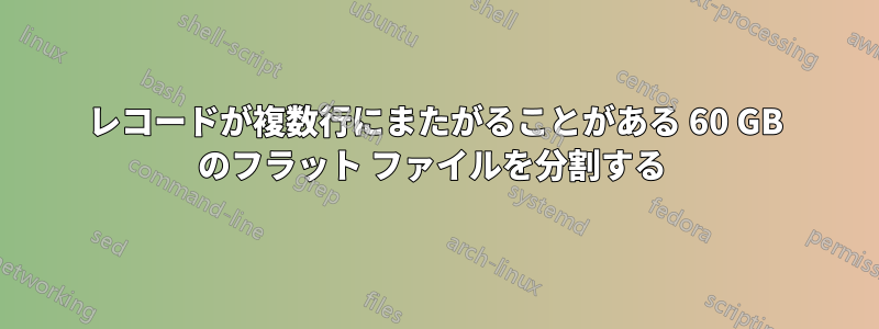 レコードが複数行にまたがることがある 60 GB のフラット ファイルを分割する 