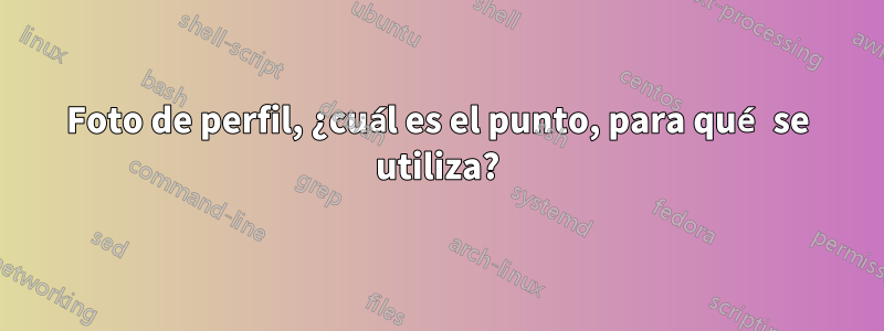 Foto de perfil, ¿cuál es el punto, para qué se utiliza?