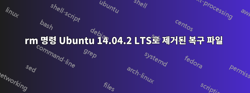 rm 명령 Ubuntu 14.04.2 LTS로 제거된 복구 파일